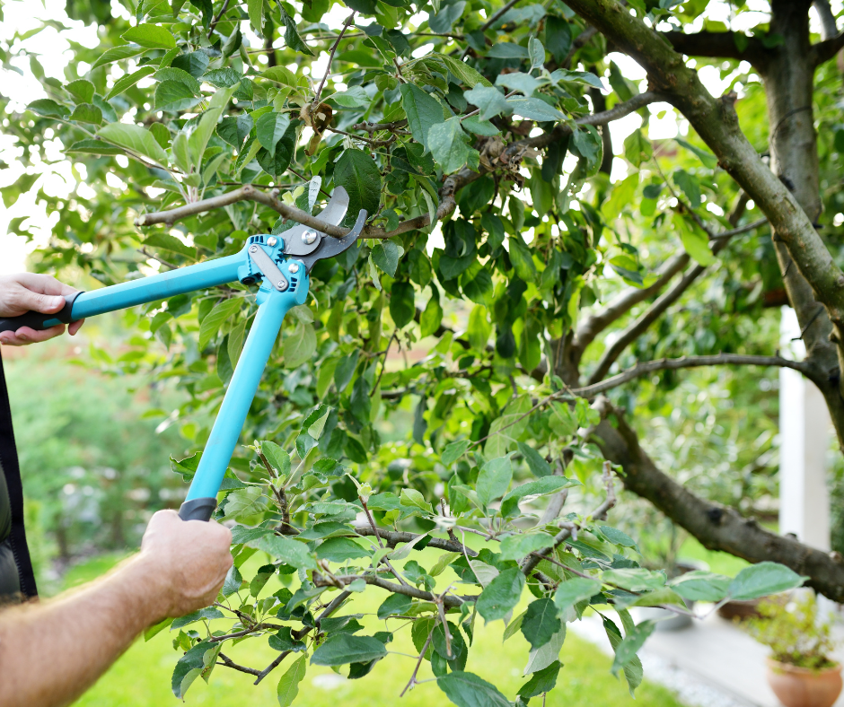 jardinier paysagiste en Vendée