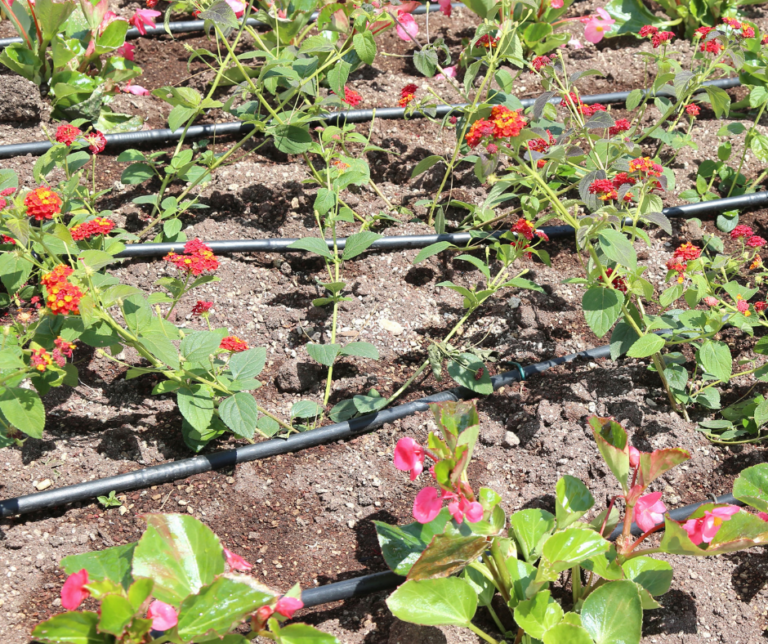 jardinier paysagiste en Vendée